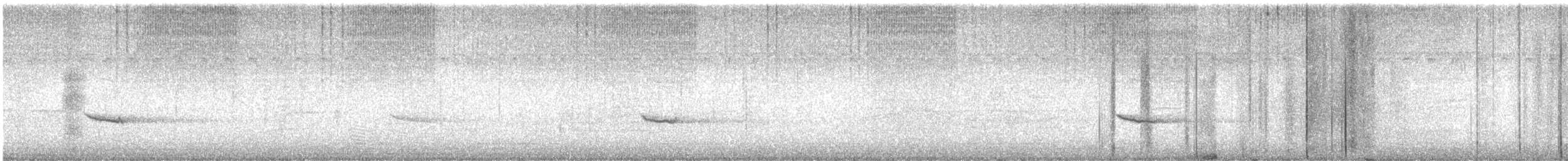 Hermit Thrush - ML646609054