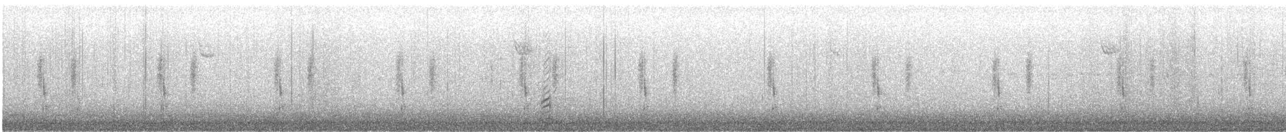 Northern Shoveler - ML646609233