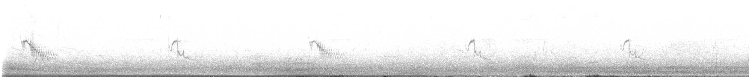 Pipit d'Australie - ML646609974