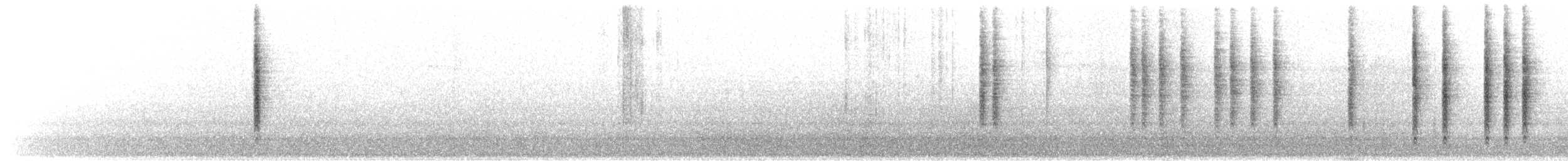 ルビーキクイタダキ - ML646610388