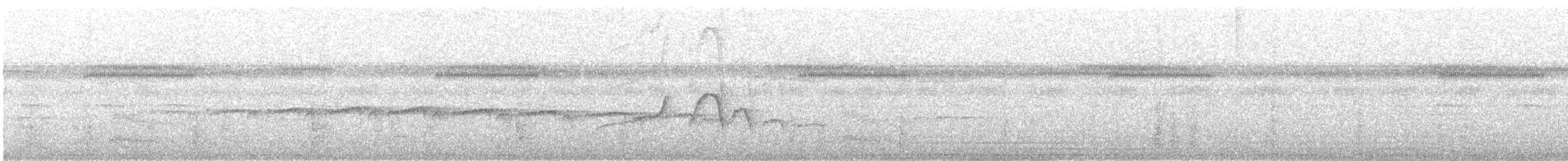 Пятнистая муравьеловка - ML646610795