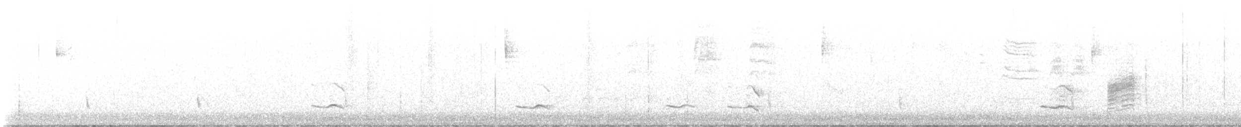 Audubon's Oriole (Audubon's) - ML646611302