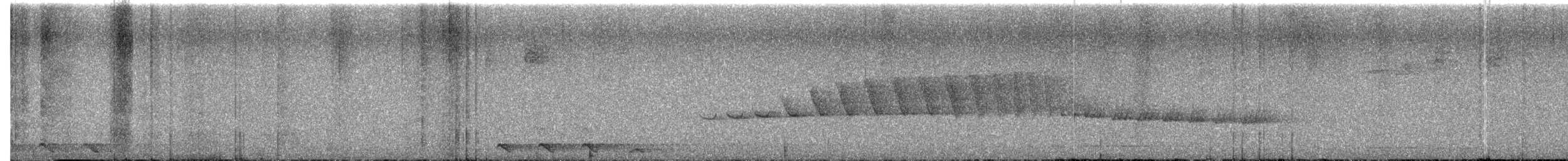 Rand's Warbler - ML646611307