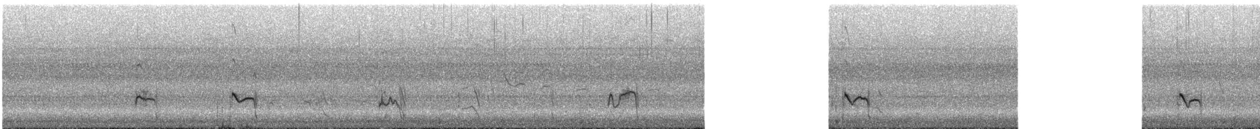 Pluvier semipalmé - ML646611535