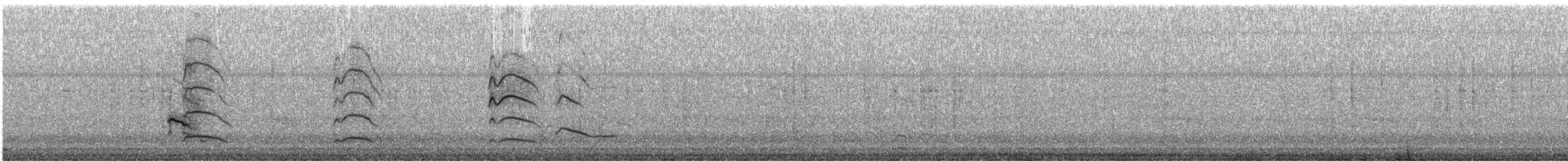 Bonaparte's Gull - ML646611791