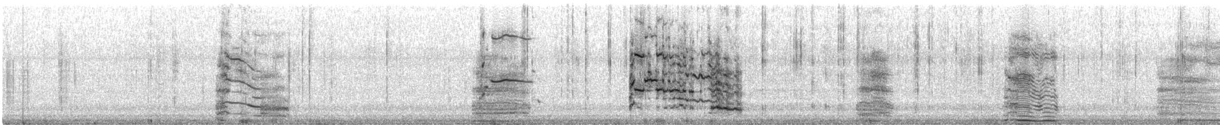 Ring-billed Gull - ML646611796