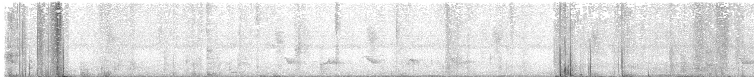 Creamy-bellied Thrush - ML646611862