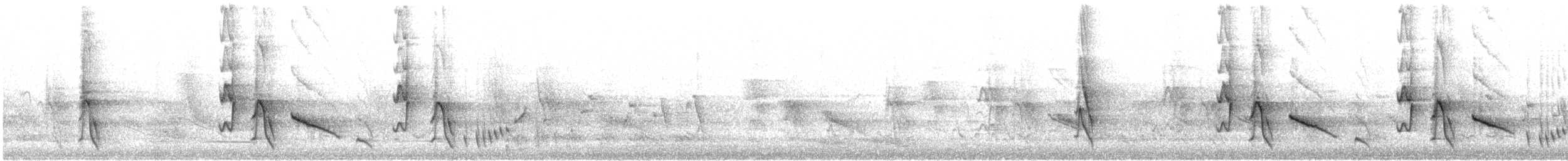 Yellow-plumed Honeyeater - ML646611870