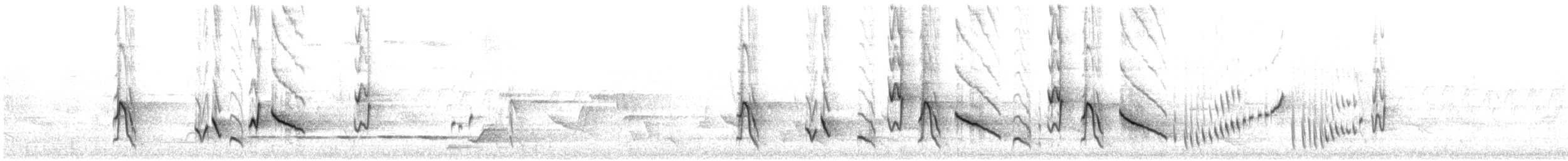 Yellow-plumed Honeyeater - ML646611872