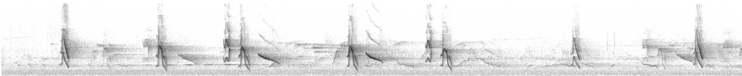 Yellow-plumed Honeyeater - ML646611874