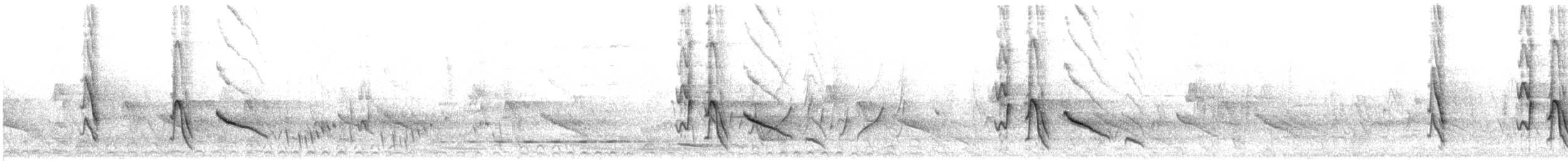 Yellow-plumed Honeyeater - ML646611875