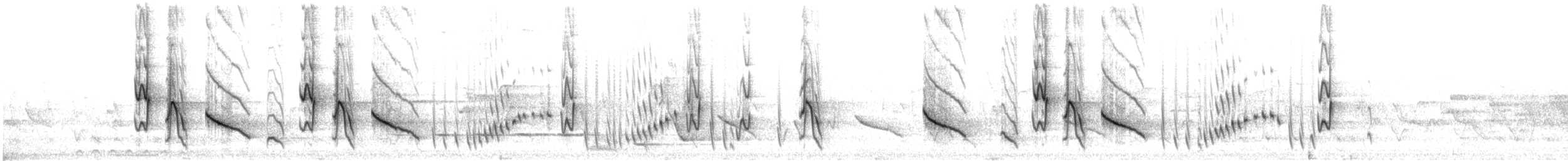 Yellow-plumed Honeyeater - ML646611876