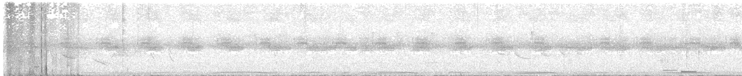 Pikazuro Güvercini - ML646612037