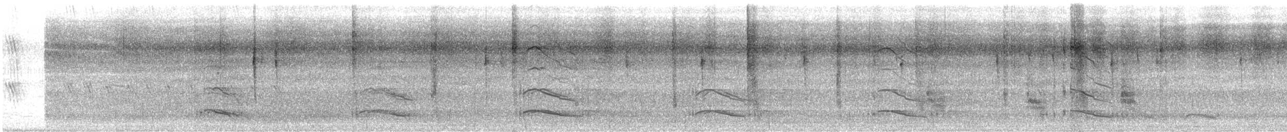 Limpkin - ML646612078