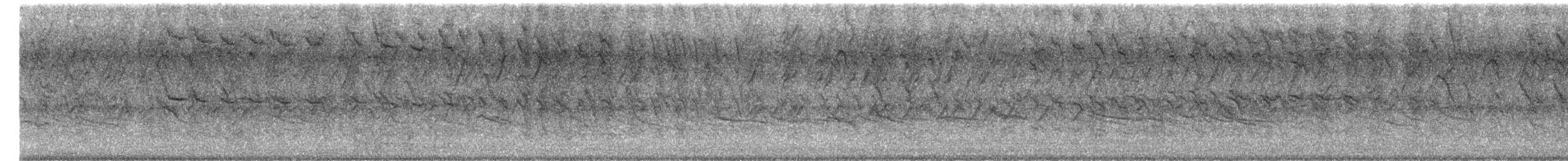 Trauergrackel - ML646612205