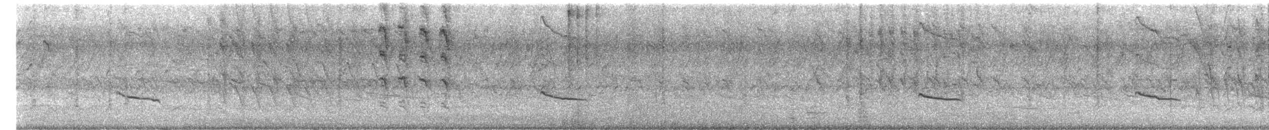 Trauergrackel - ML646612206