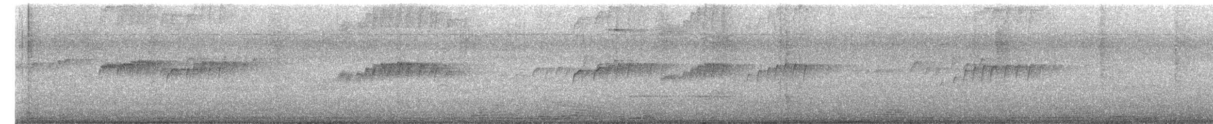 Trauerkönigstyrann - ML646612269