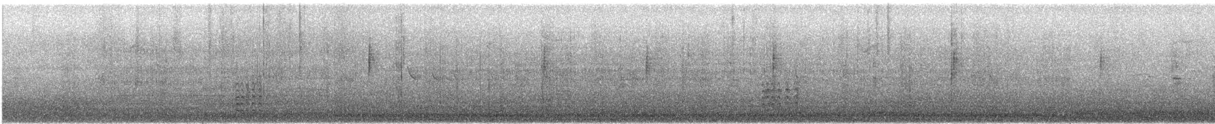 Weißbrustkleiber [lagunae-Gruppe] - ML646612278