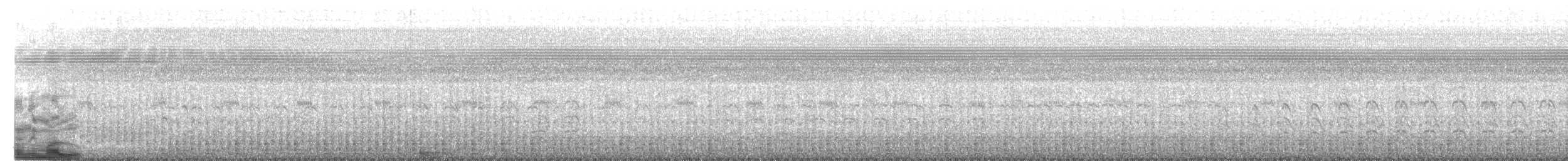 čejka jihoamerická - ML646612346