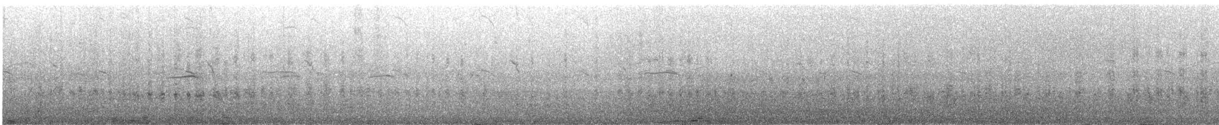 Red-legged Cormorant - ML646612371