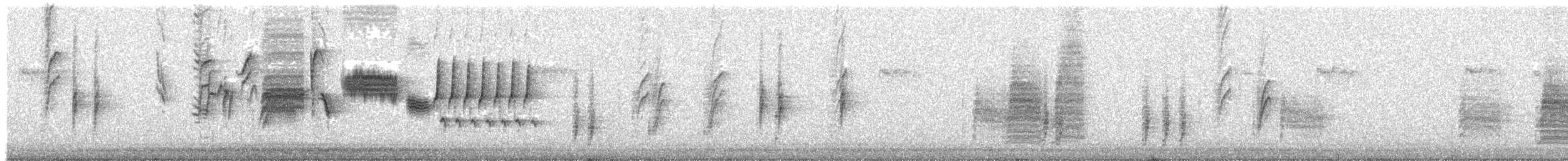 Bewick's Wren - ML646612551