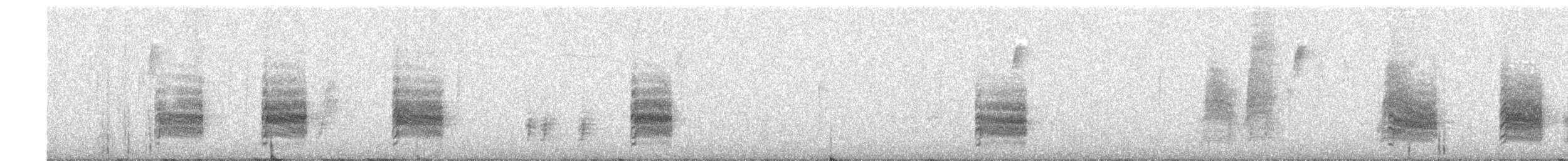 Bewick's Wren - ML646612558