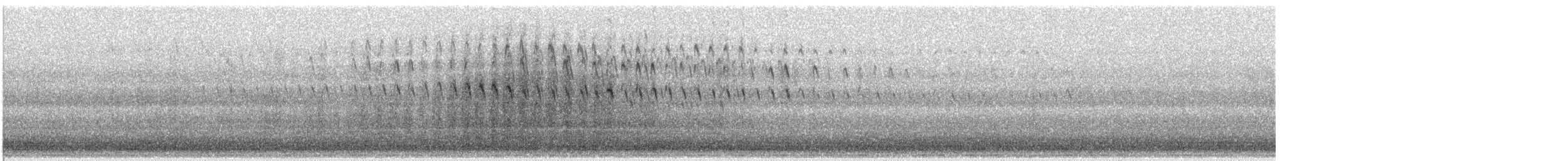 vrubozobí sp. - ML646612751