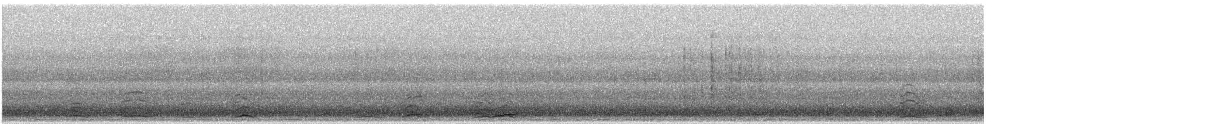 labuť malá - ML646612788