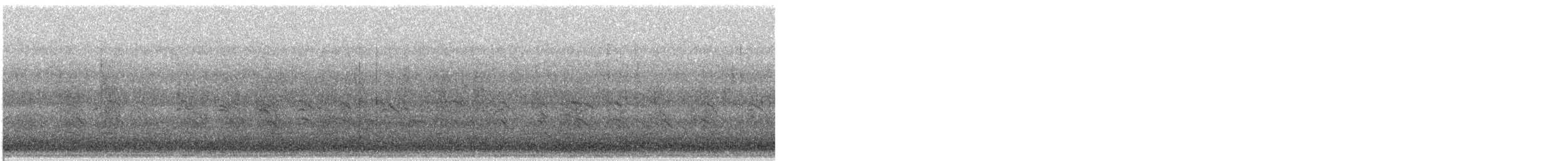 vrubozobí sp. - ML646612850