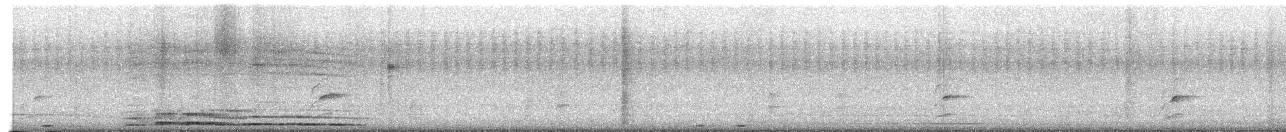 White-bellied Chachalaca - ML646613213