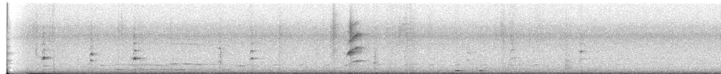 White-bellied Chachalaca - ML646613214