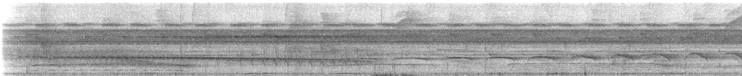 Gray Antwren - ML646613267