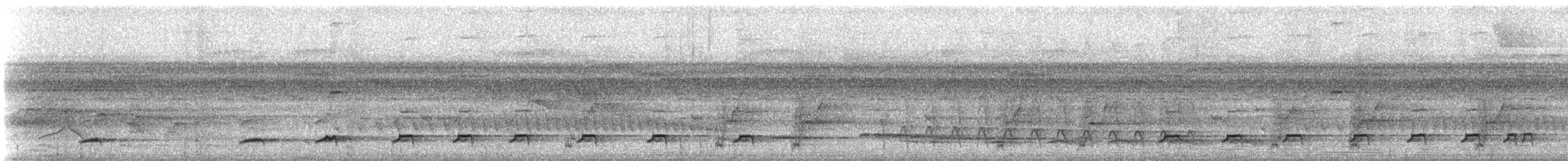 Wing-barred Piprites - ML646613282