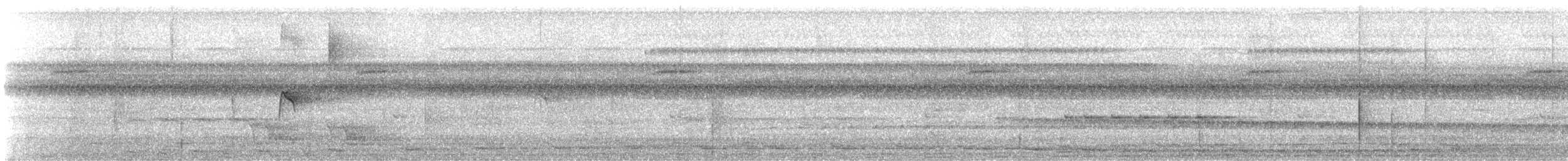 Red-headed Manakin - ML646613286