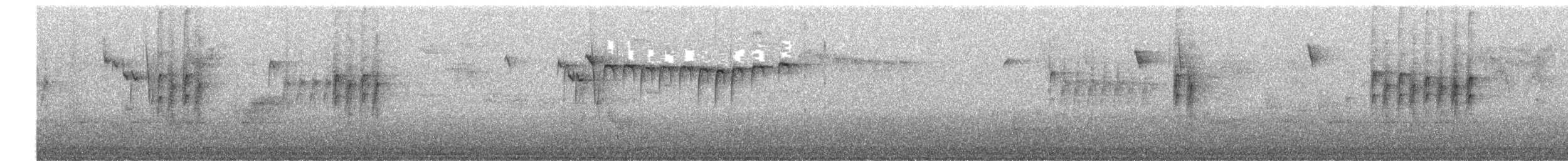 Carolina Chickadee - ML646613307