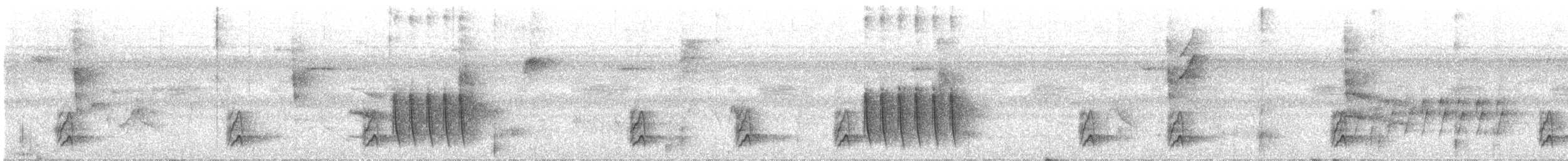 Bluish-slate Antshrike - ML646613447