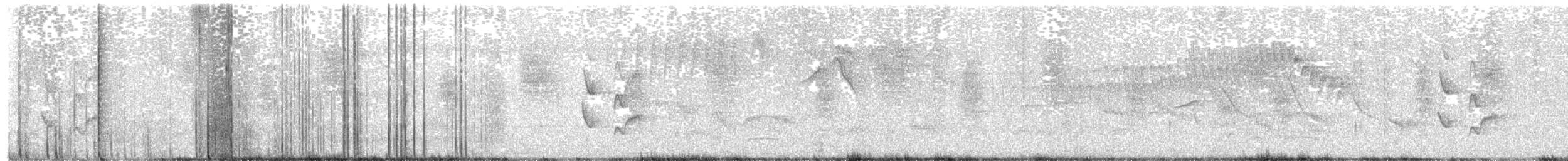 Pijuí Frentigrís - ML646613515