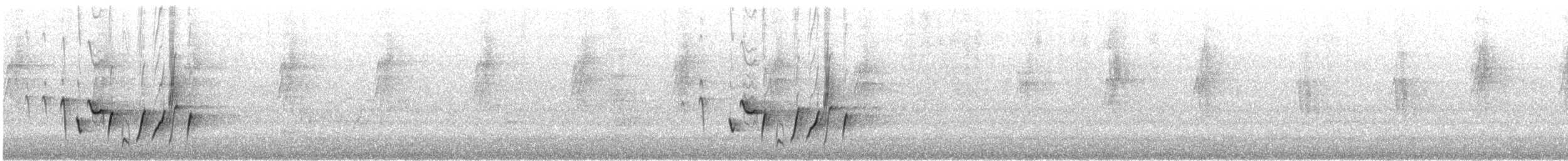 Mielero Adornado - ML646613710