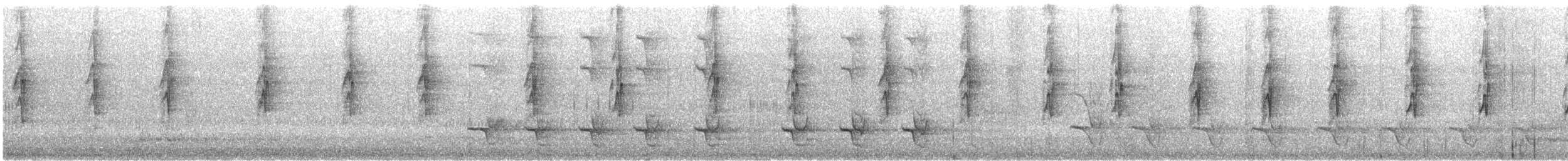 Mielero Adornado - ML646613711