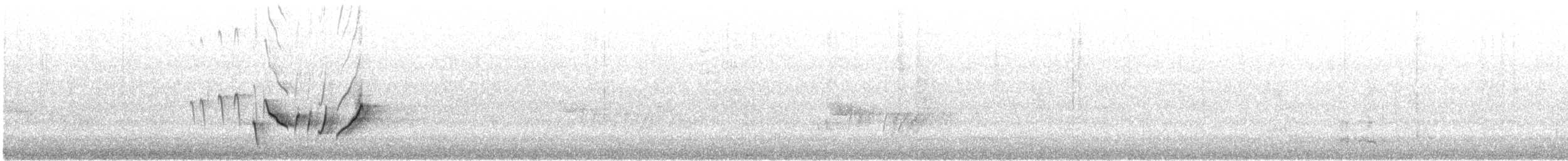 Mielero Adornado - ML646613712