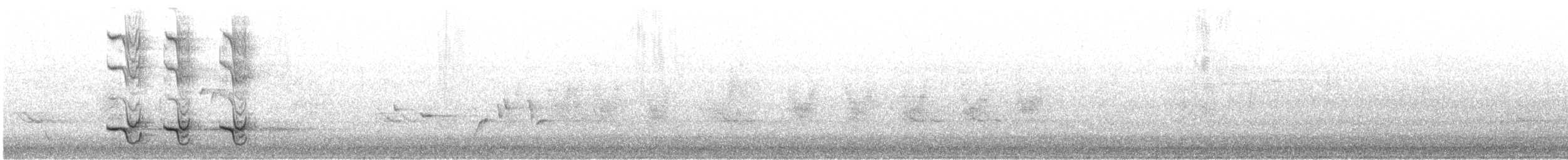 Perico de Port Lincoln - ML646613716