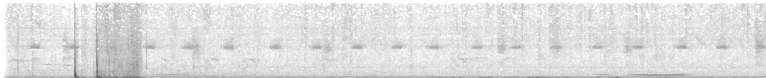 Paloma Montaraz Común - ML646613966