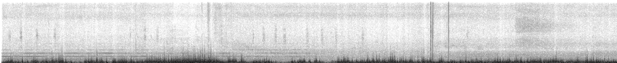 Locustelle lancéolée - ML646614035