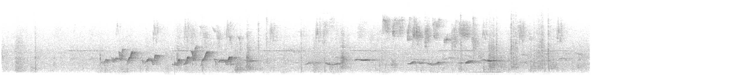 Cucarachero Pechigrís (bangsi) - ML646614069