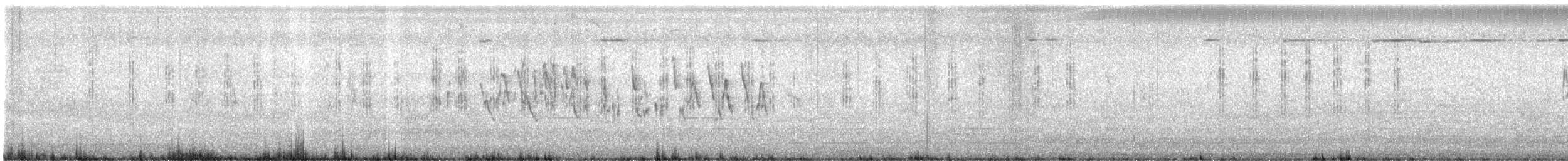 Locustelle lancéolée - ML646614095