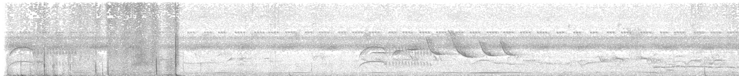 Cliff Flycatcher - ML646614178