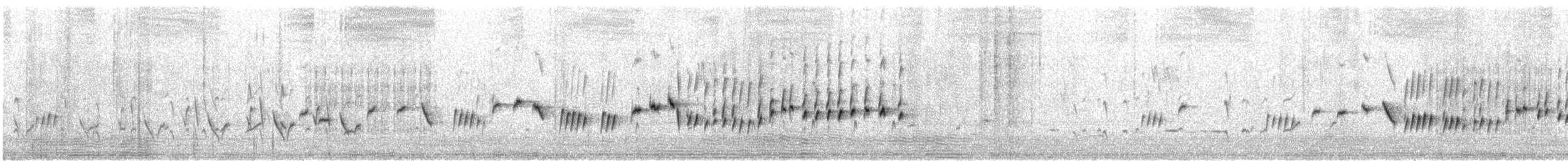 Sedosito Occidental - ML646614366