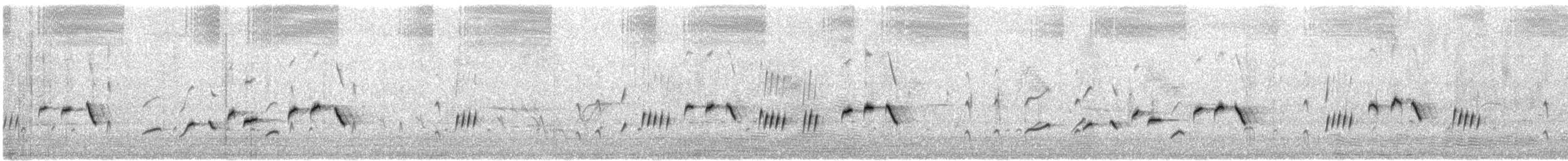 Sedosito Occidental - ML646614367