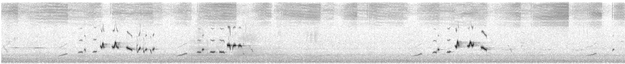 Sedosito Occidental - ML646614368