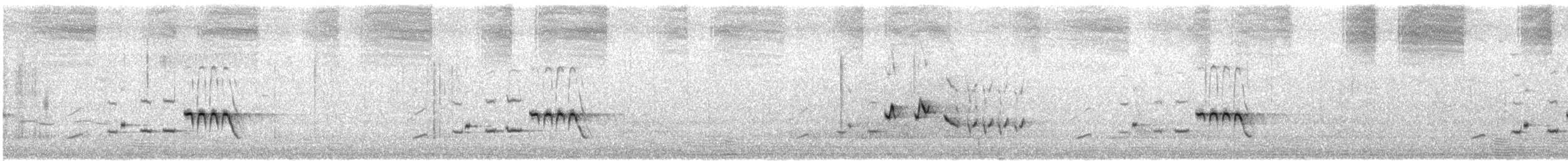 Sedosito Occidental - ML646614369